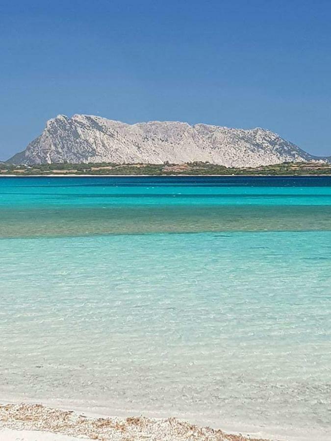 Villa Nonna Antonietta San Teodoro  Exterior foto